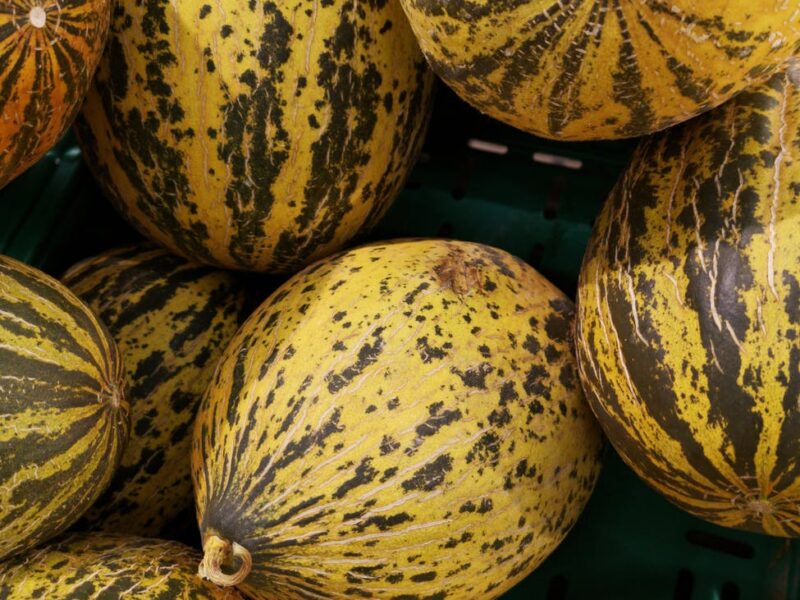 round yellow fruits